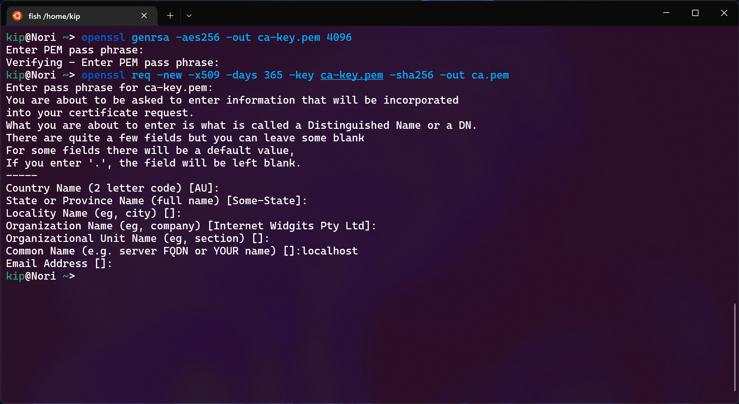 “Generating the CA key and certificate”
