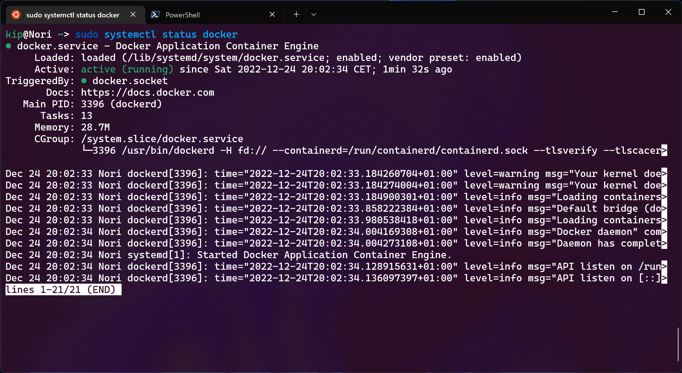 “Docker service status and logs”