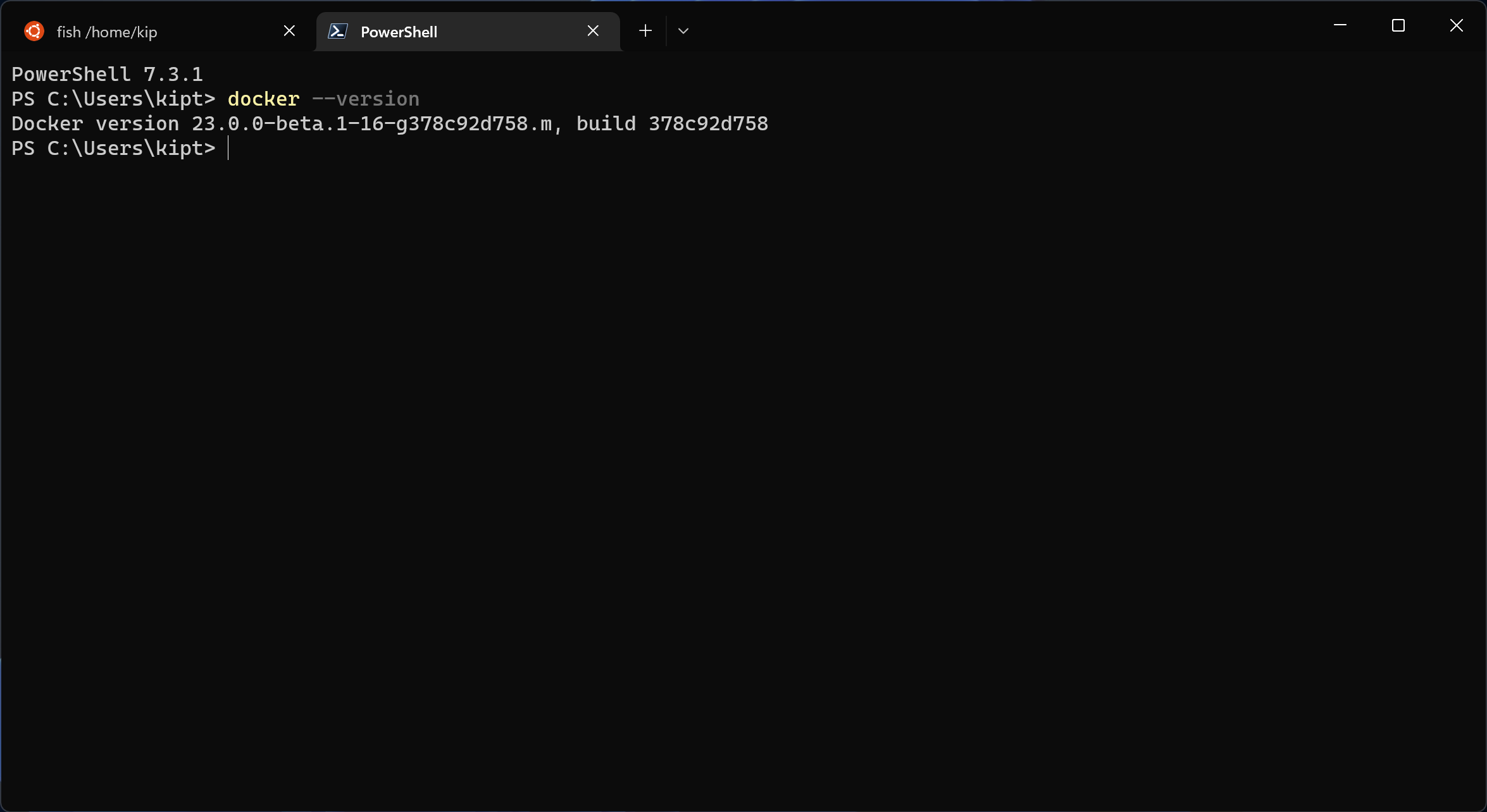 “Checking Docker version on Windows”